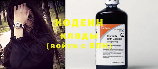 молекула духа Ростов