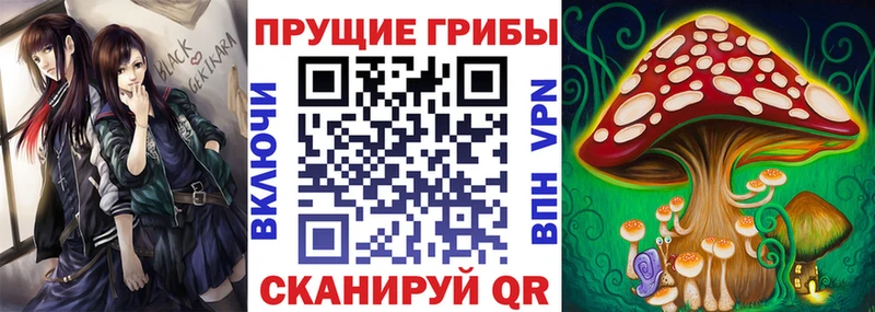 Псилоцибиновые грибы MAGIC MUSHROOMS  наркотики  Севск 